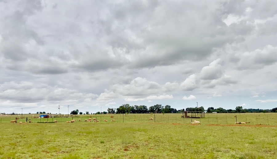 3 Bedroom Property for Sale in Bainsvlei Free State